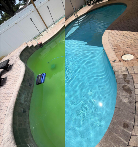 Before-and-after pool water condition photo